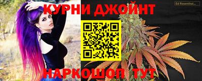 spice Дубна