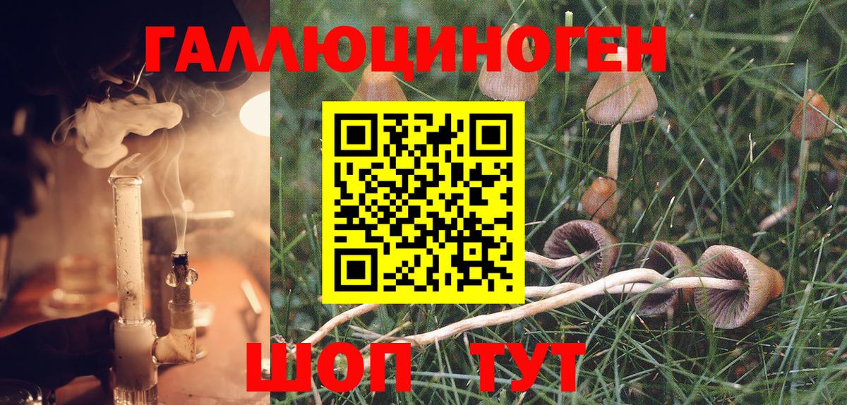 Псилоцибиновые грибы Cubensis Лянтор