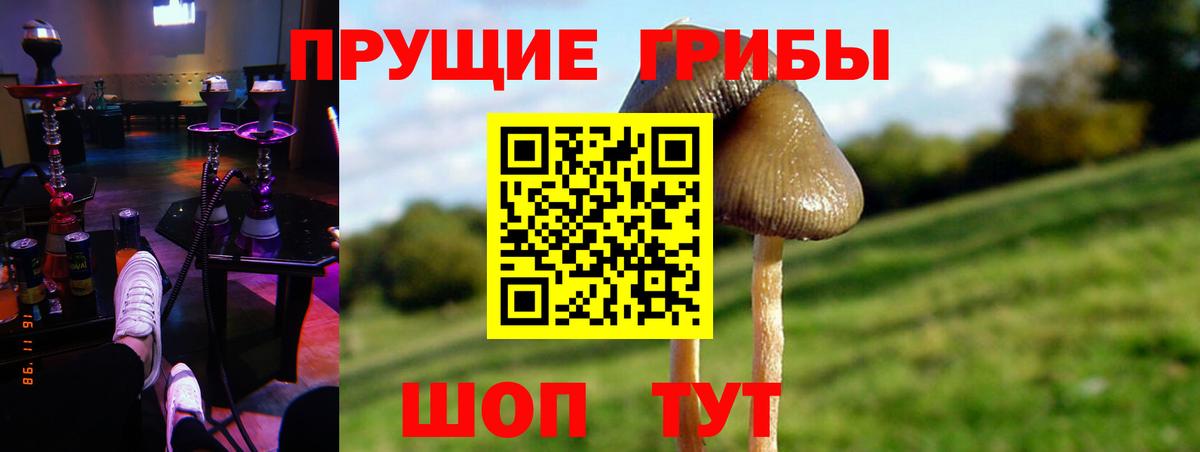 Галлюциногенные грибы прущие грибы  Псилоцибиновые грибы Psilocybe  Вход с VPN  Лянтор 