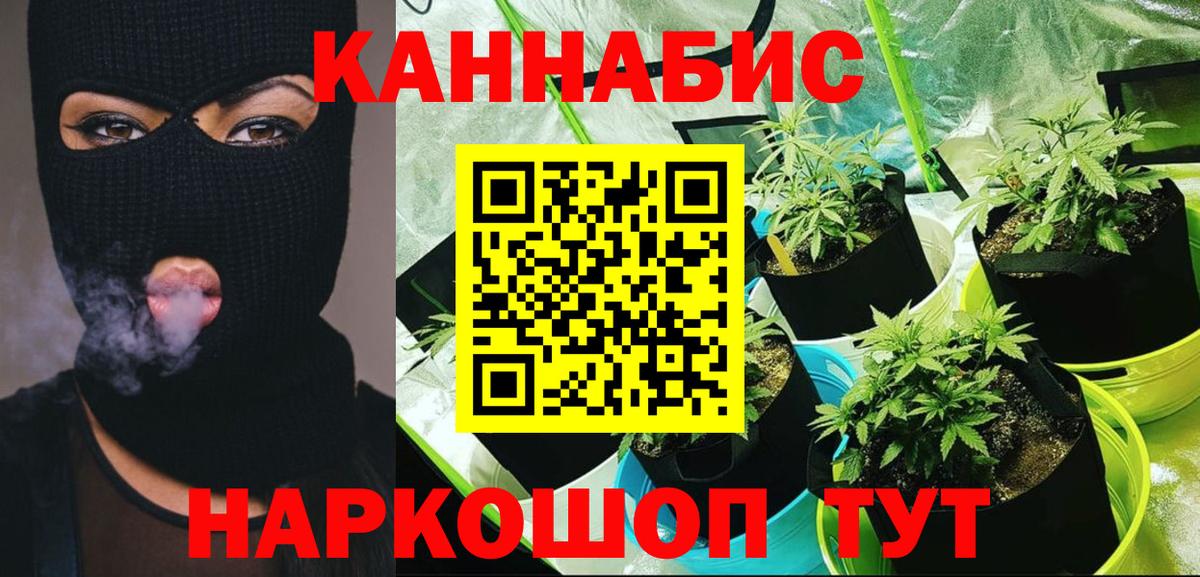 Марихуана семена Лянтор